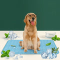 ChillPaws 3-layer cooling mat for dogs and cats